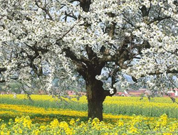 Yaşadığınız ortamları havalandırın