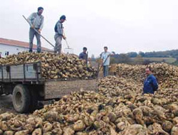 Çiftçiye hasat için makine desteği